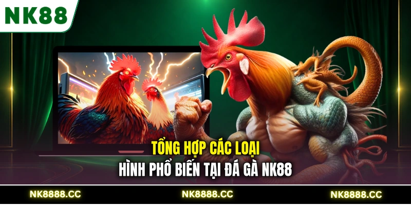 Tổng hợp các loại hình phổ biến tại đá gà NK88